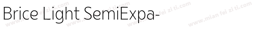 Brice Light SemiExpa字体转换